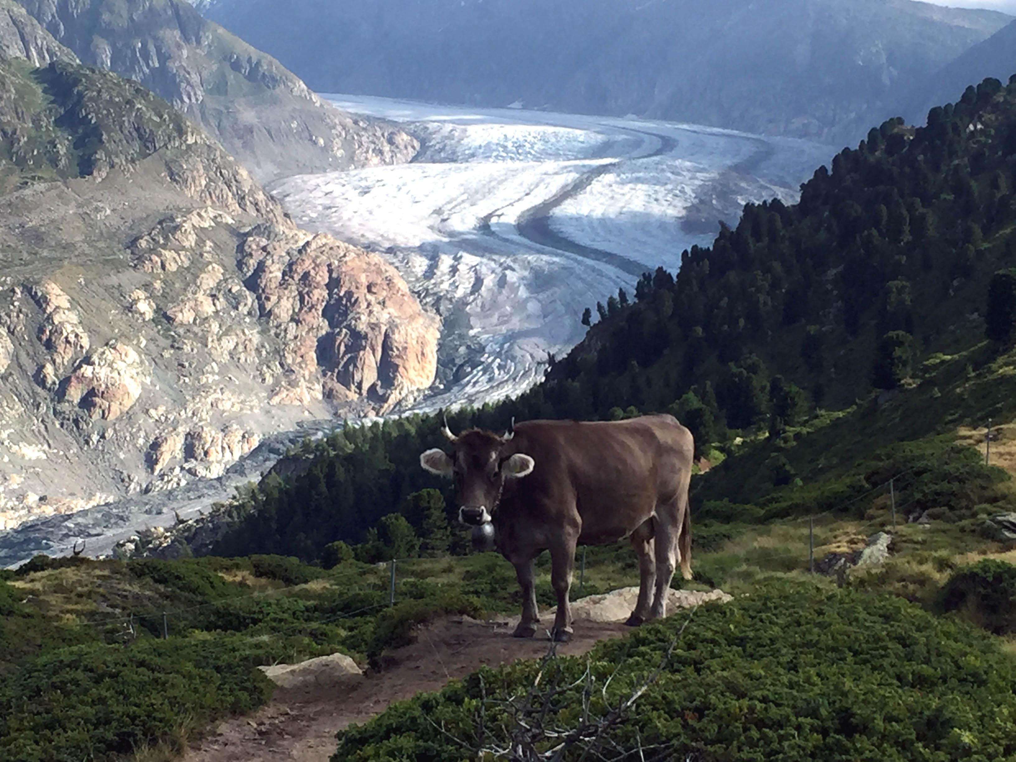 IMG_1643_2 IMG_1643_2