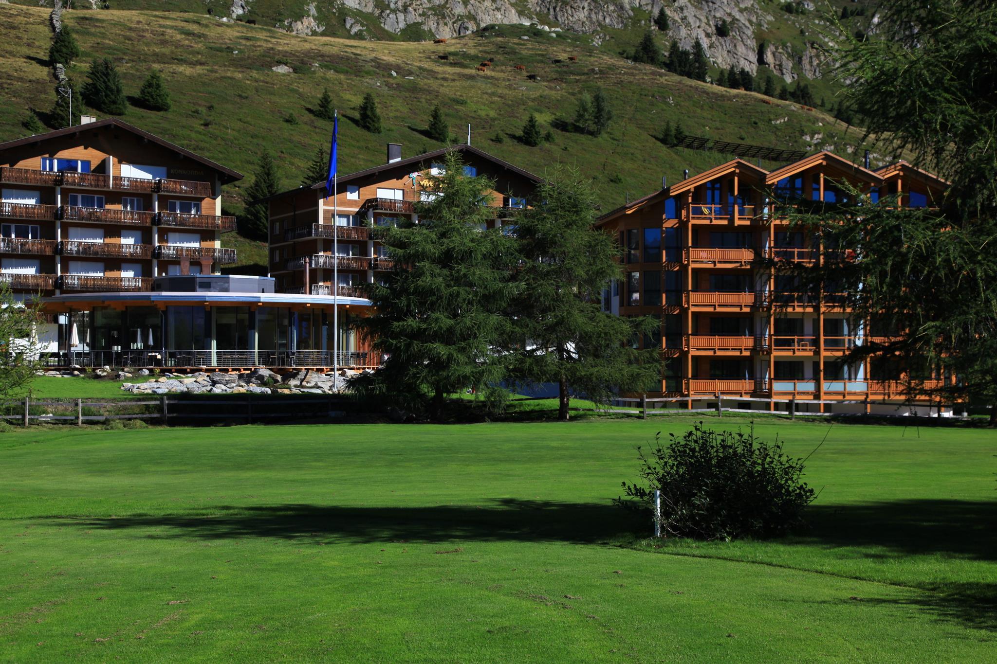 IMG_6881JPG IMG_6881JPG