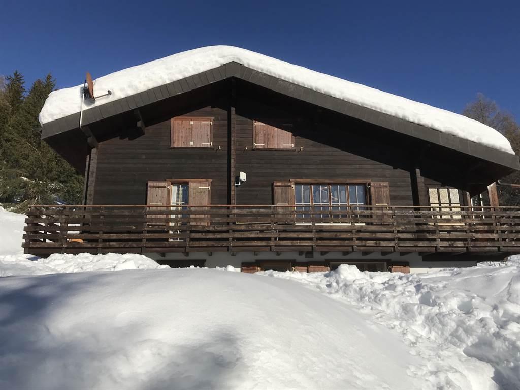 Vorderansicht Vorderansicht