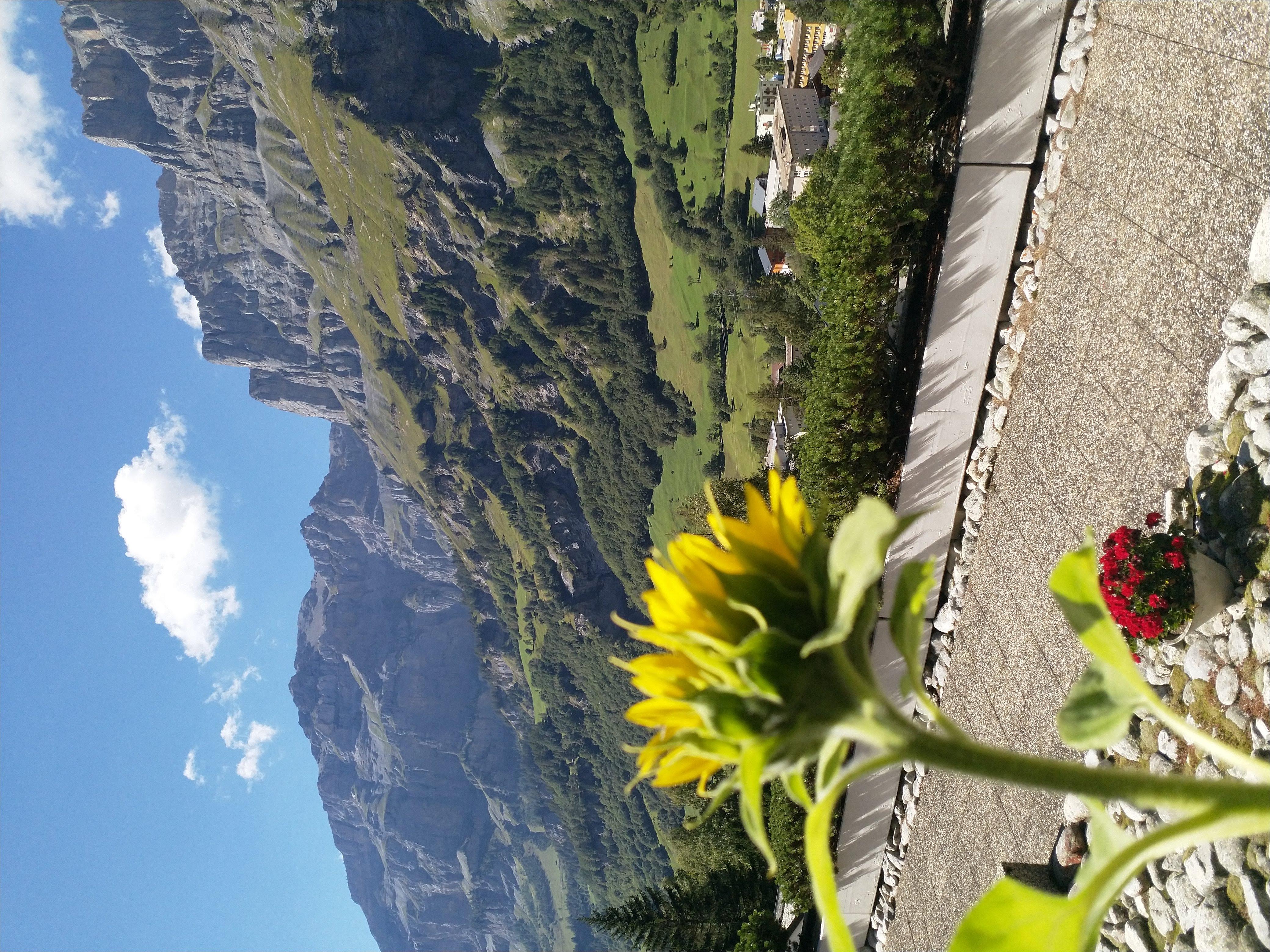 Lärchenwald 1708_ausblick_a Lärchenwald 1708_ausblick_a