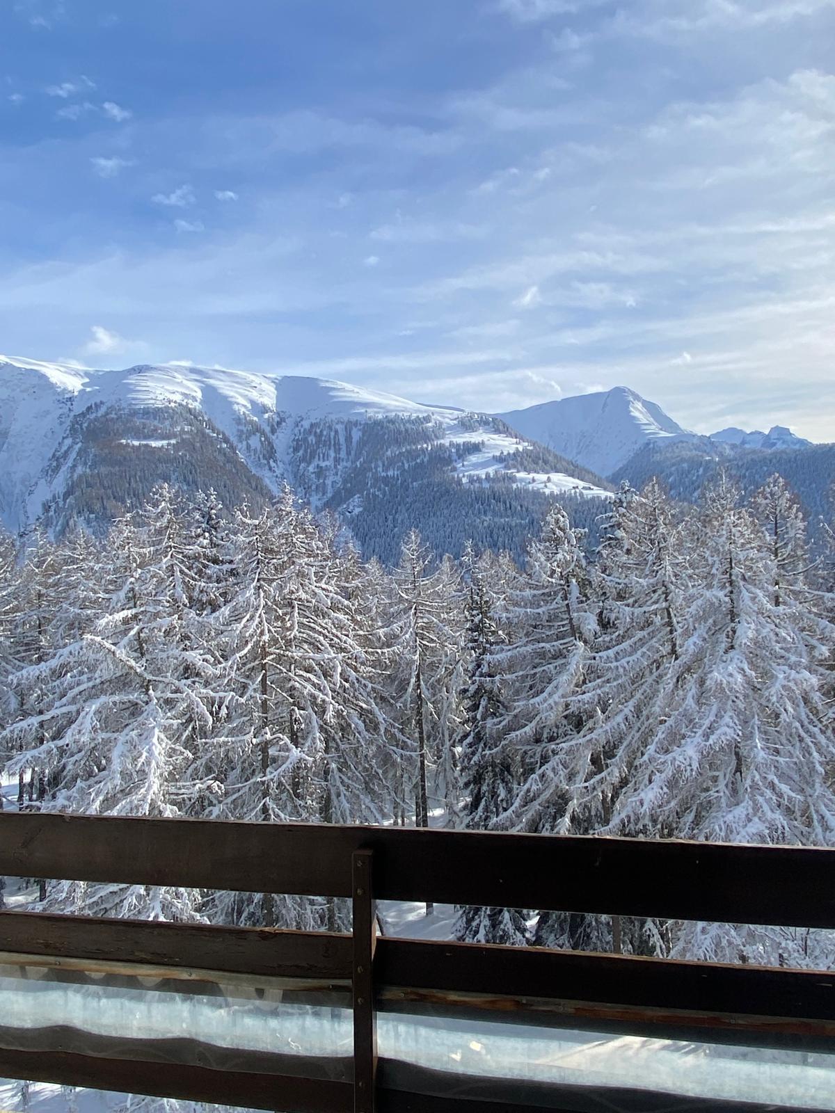 1738590445-IMG-20250131-WA0012.jpg-1200x1600 1738590445-IMG-20250131-WA0012.jpg-1200x1600