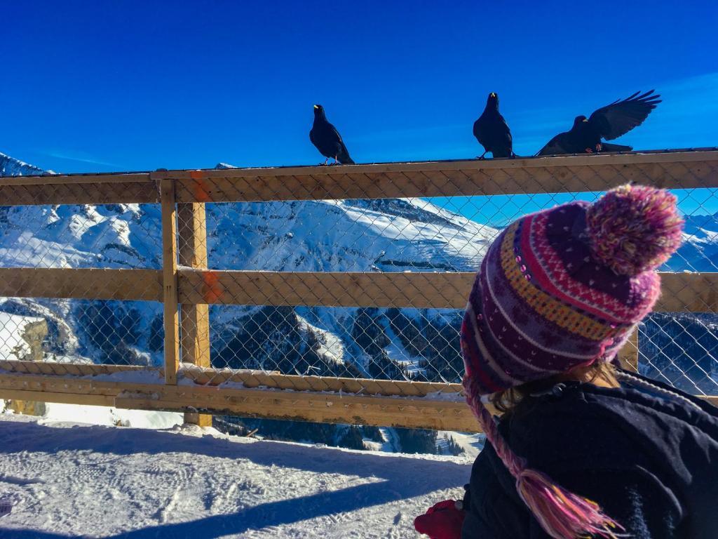 Olympia 54_HAK's Leukerbad Gemmi Olympia 54_HAK's Leukerbad Gemmi