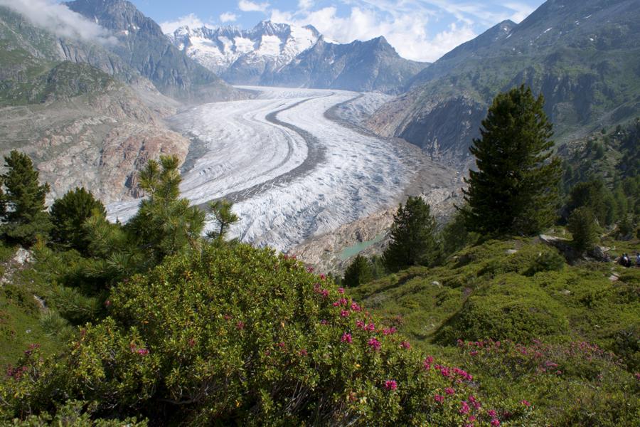 Aletschgletscher Aletschgletscher