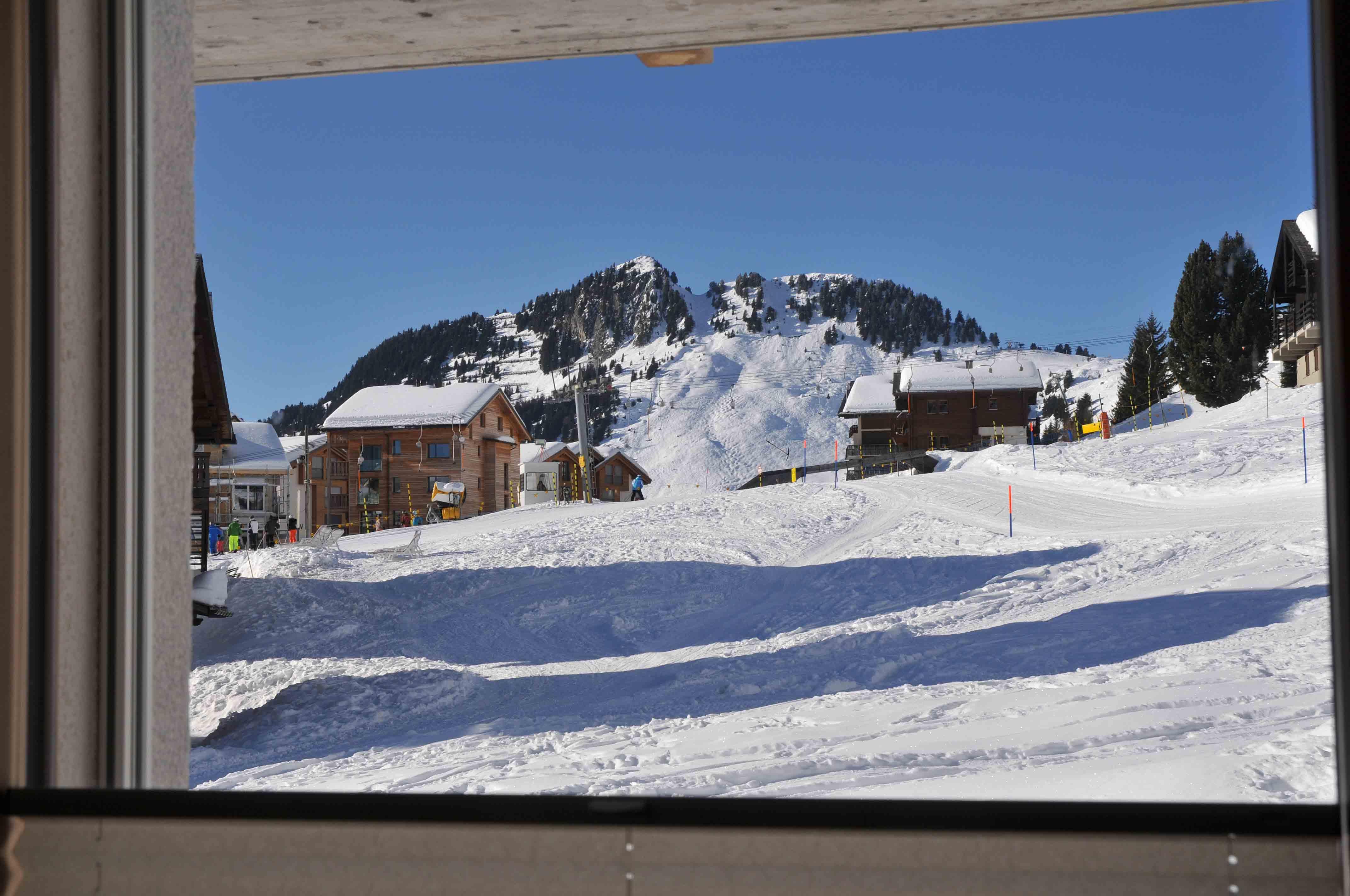 1. Stock West_6039 1. Stock West_6039