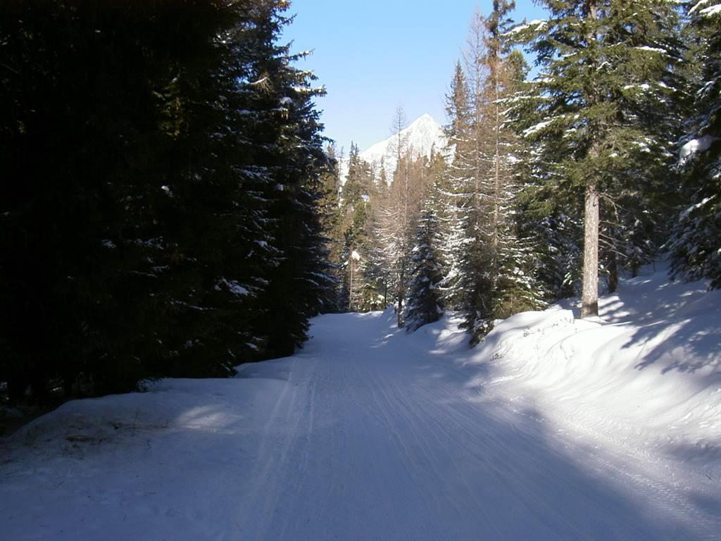 Winterlandschaft Winterlandschaft