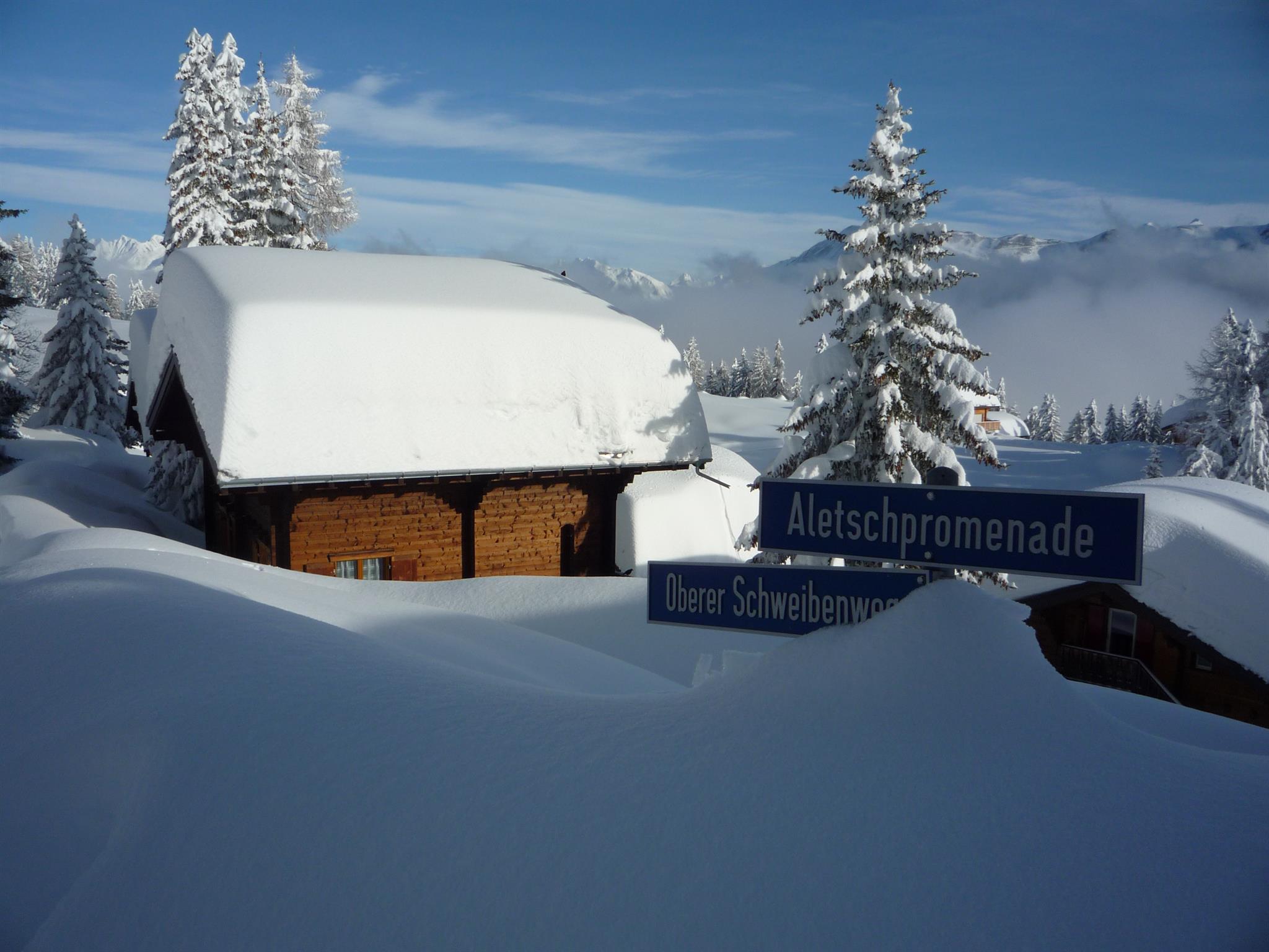 Jahrhundertschnee Januar 2018 Jahrhundertschnee Januar 2018