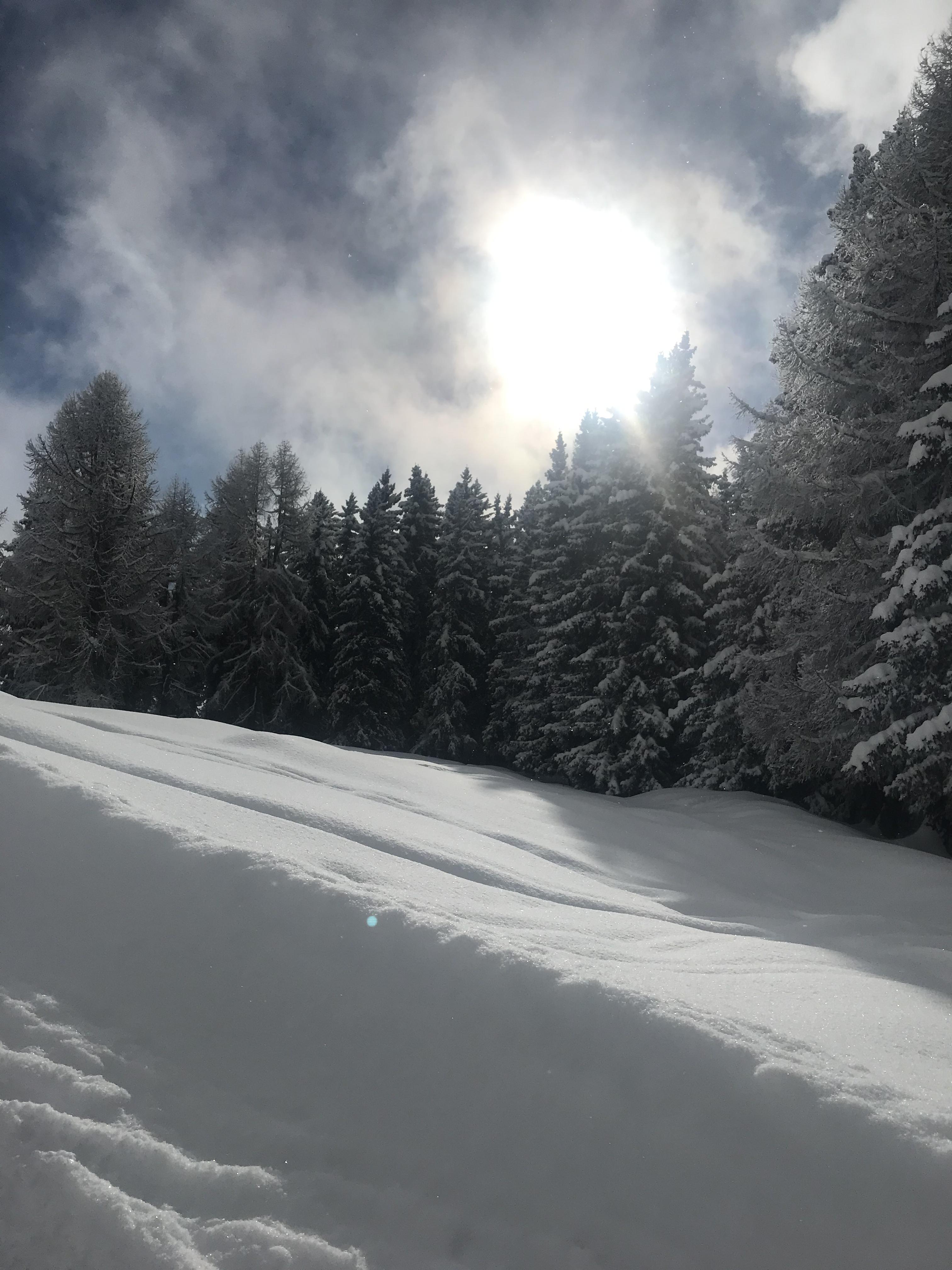 IMG_4005.heic IMG_4005.heic