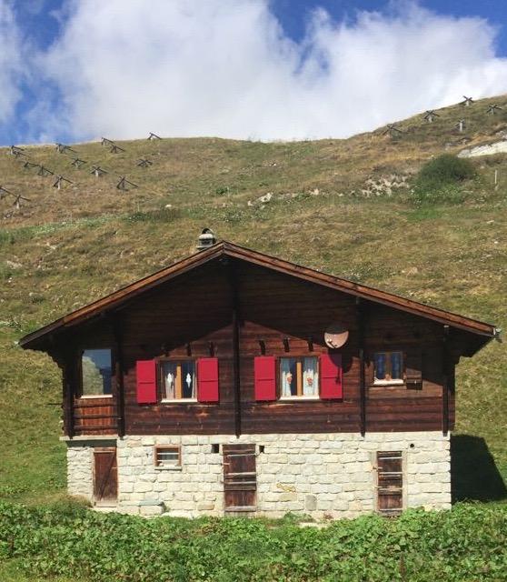 98499505-057b-438d-a840-dc12fbccd9a2 3 98499505-057b-438d-a840-dc12fbccd9a2 3