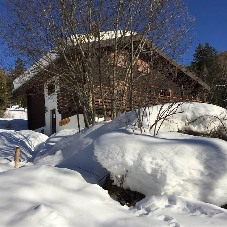 Fussweg zum Chalet Fussweg zum Chalet