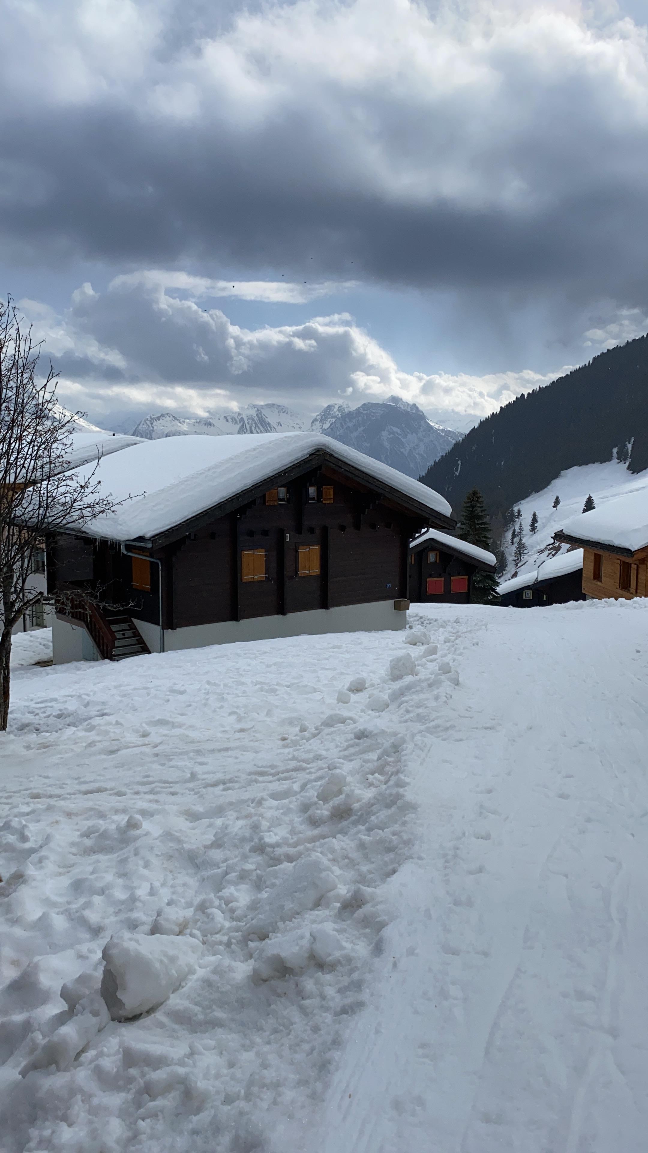 0395AB74-BC5F-46FE-92DB-B03434EB76CB 0395AB74-BC5F-46FE-92DB-B03434EB76CB