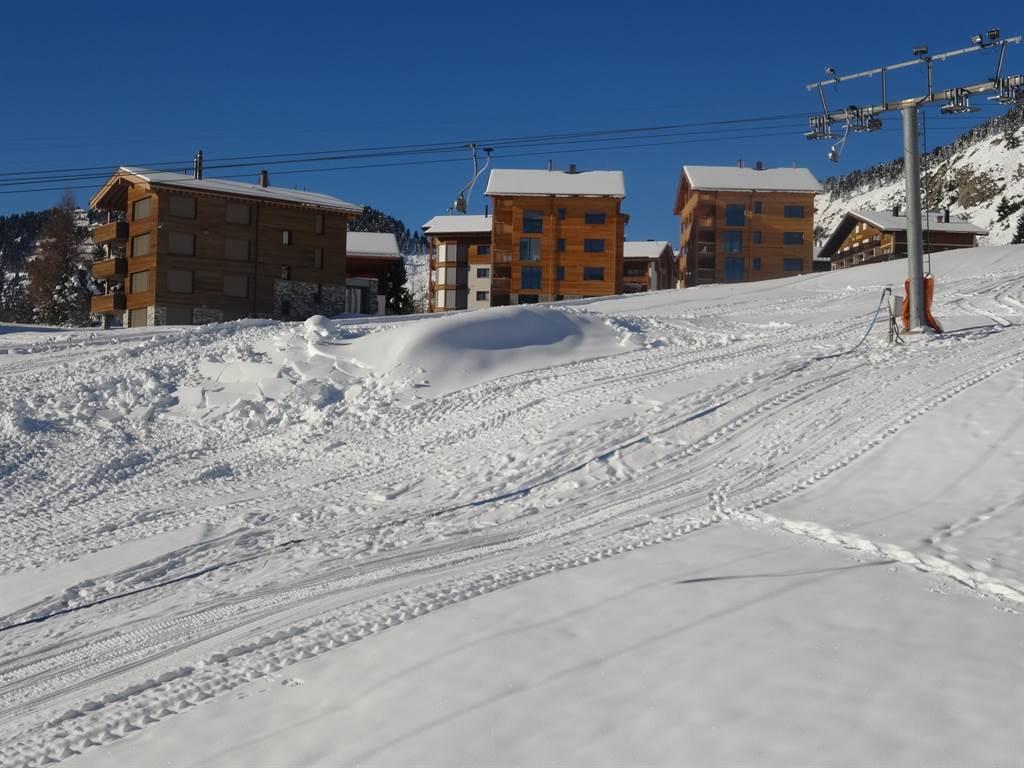 Riederalp_Ferienwohnungen_Aletsch_Service_Edelweis Riederalp_Ferienwohnungen_Aletsch_Service_Edelweis
