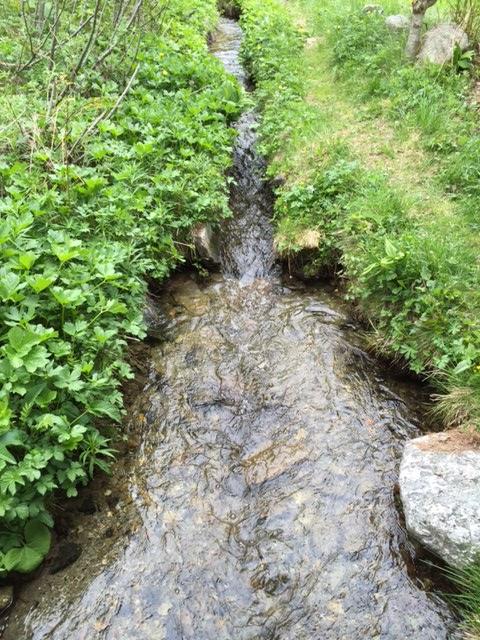 Bach durch Grungstückgrenze Bach durch Grungstückgrenze