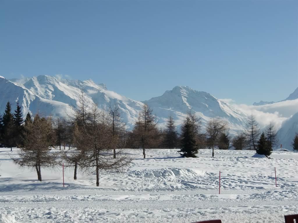 Golfplatz Winter Golfplatz Winter