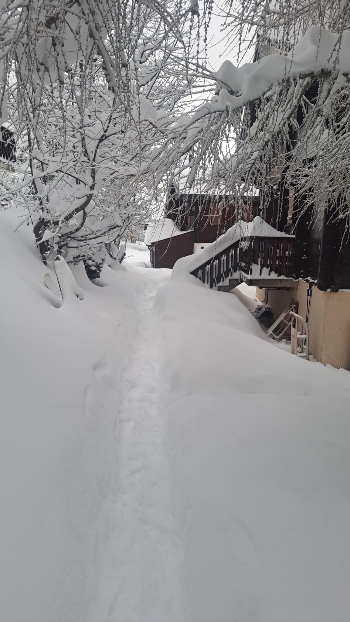 cba54214-45f2-4627-b765-119bd6caa495 cba54214-45f2-4627-b765-119bd6caa495