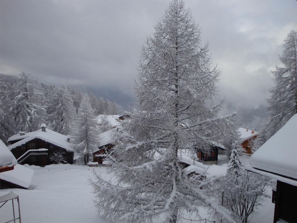 Aussicht Winter Aussicht Winter