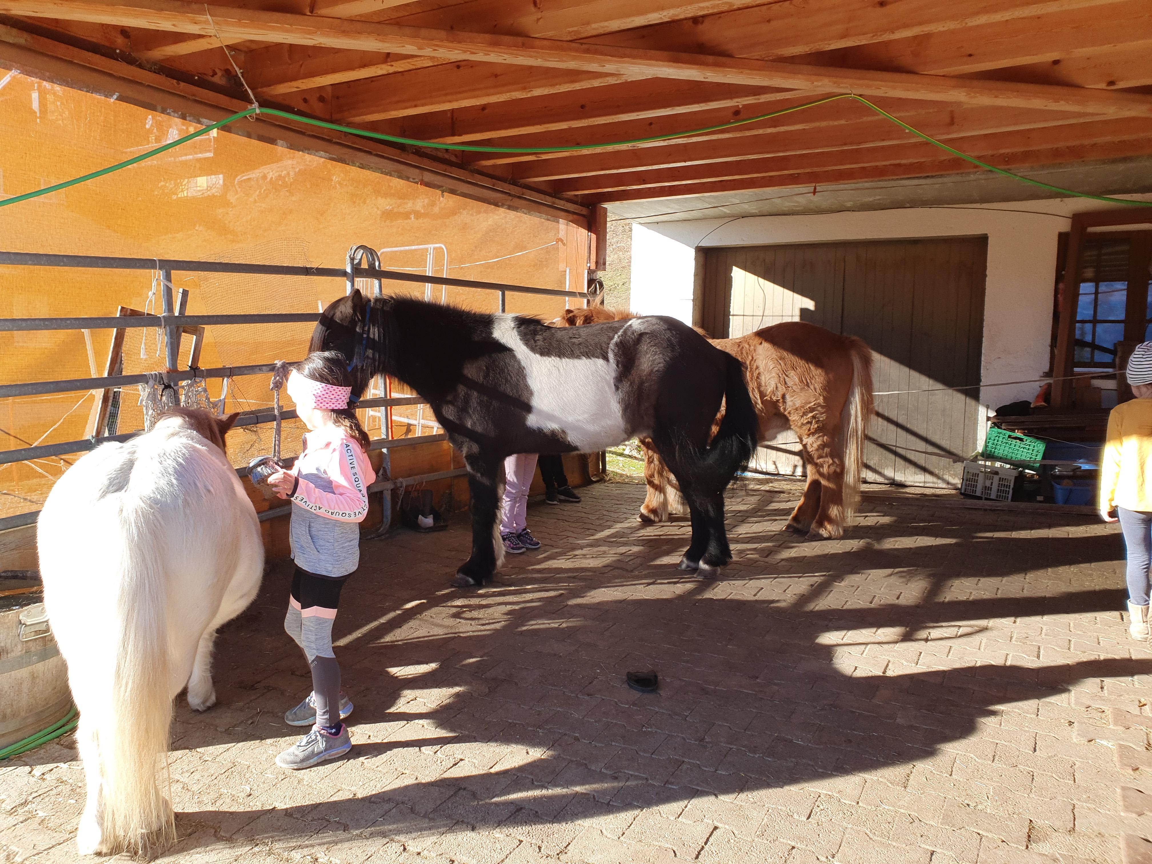 20201118_140717_007 20201118_140717_007