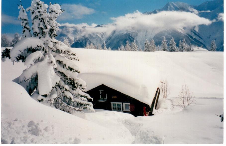 Alpenchalet-Bergrösli 4 Alpenchalet-Bergrösli 4