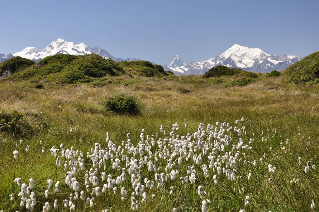 Matterhorn Matterhorn