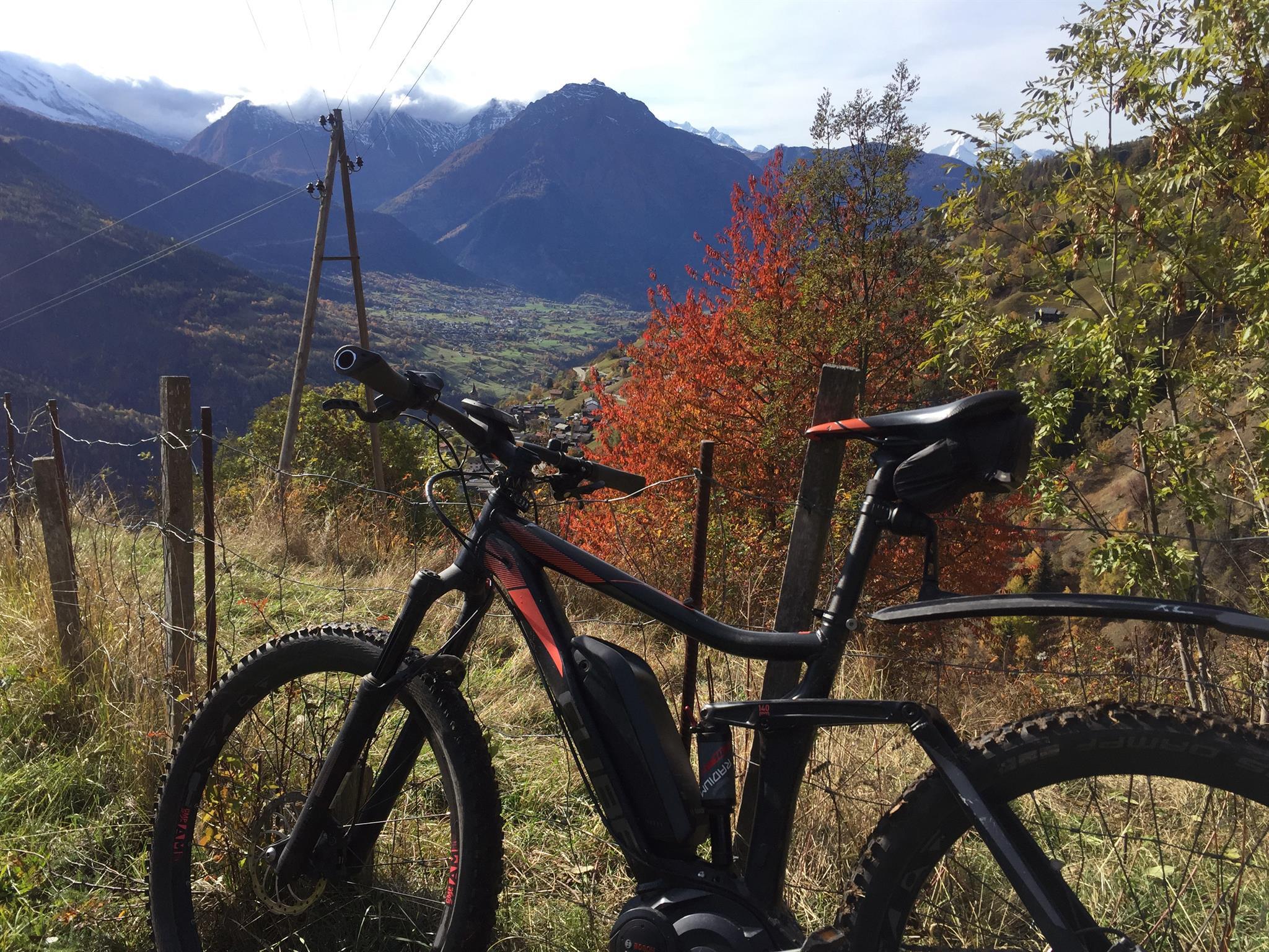 IMG_0693_1 IMG_0693_1