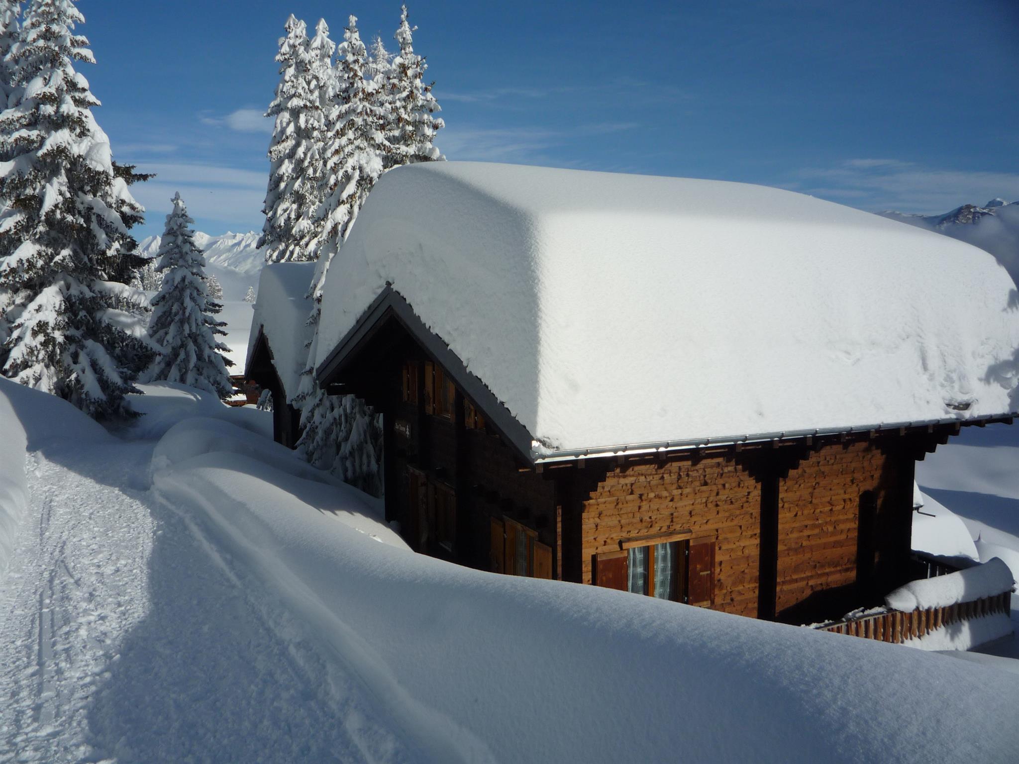 Jahrhundertschnee Januar 2018 Jahrhundertschnee Januar 2018