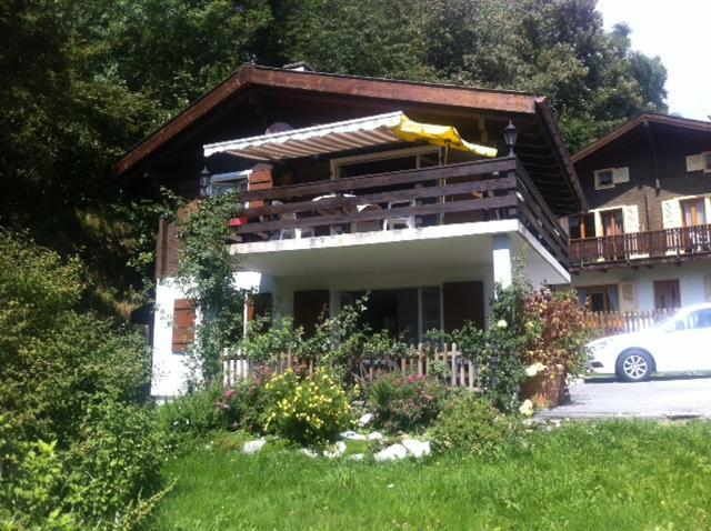 Colibri Sommer Colibri Sommer