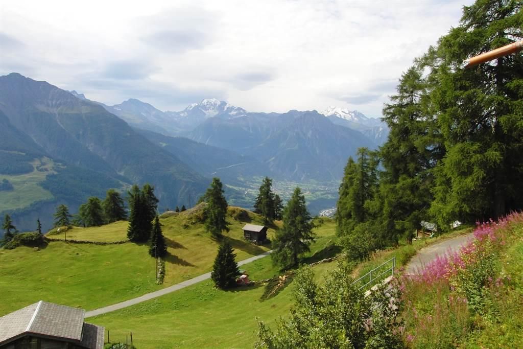 Michèle Aussicht Michèle Aussicht