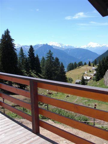 Aussicht Sommer Aussicht Sommer