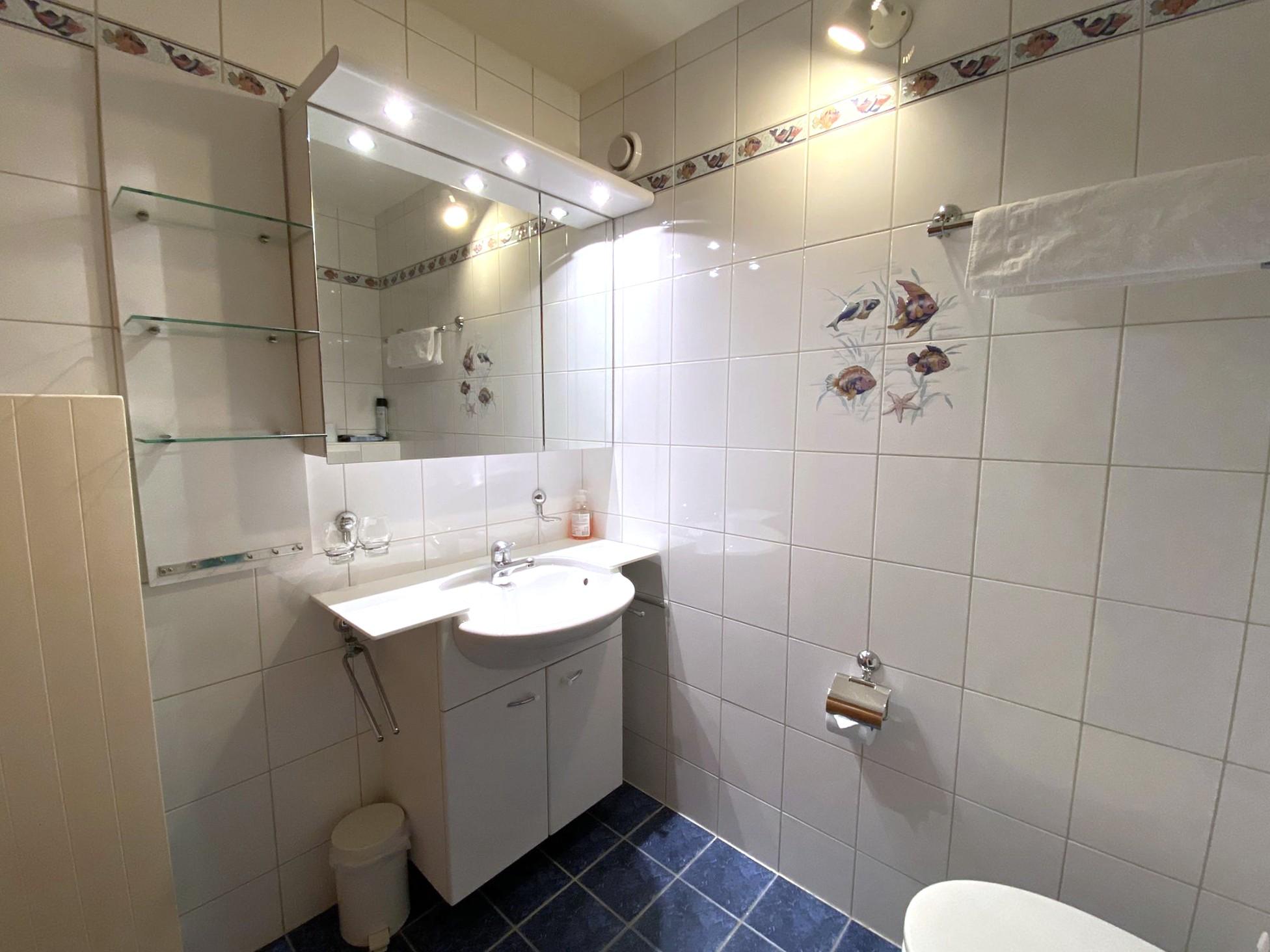 Lärchenwald 1706_Badezimmer 1 Lärchenwald 1706_Badezimmer 1