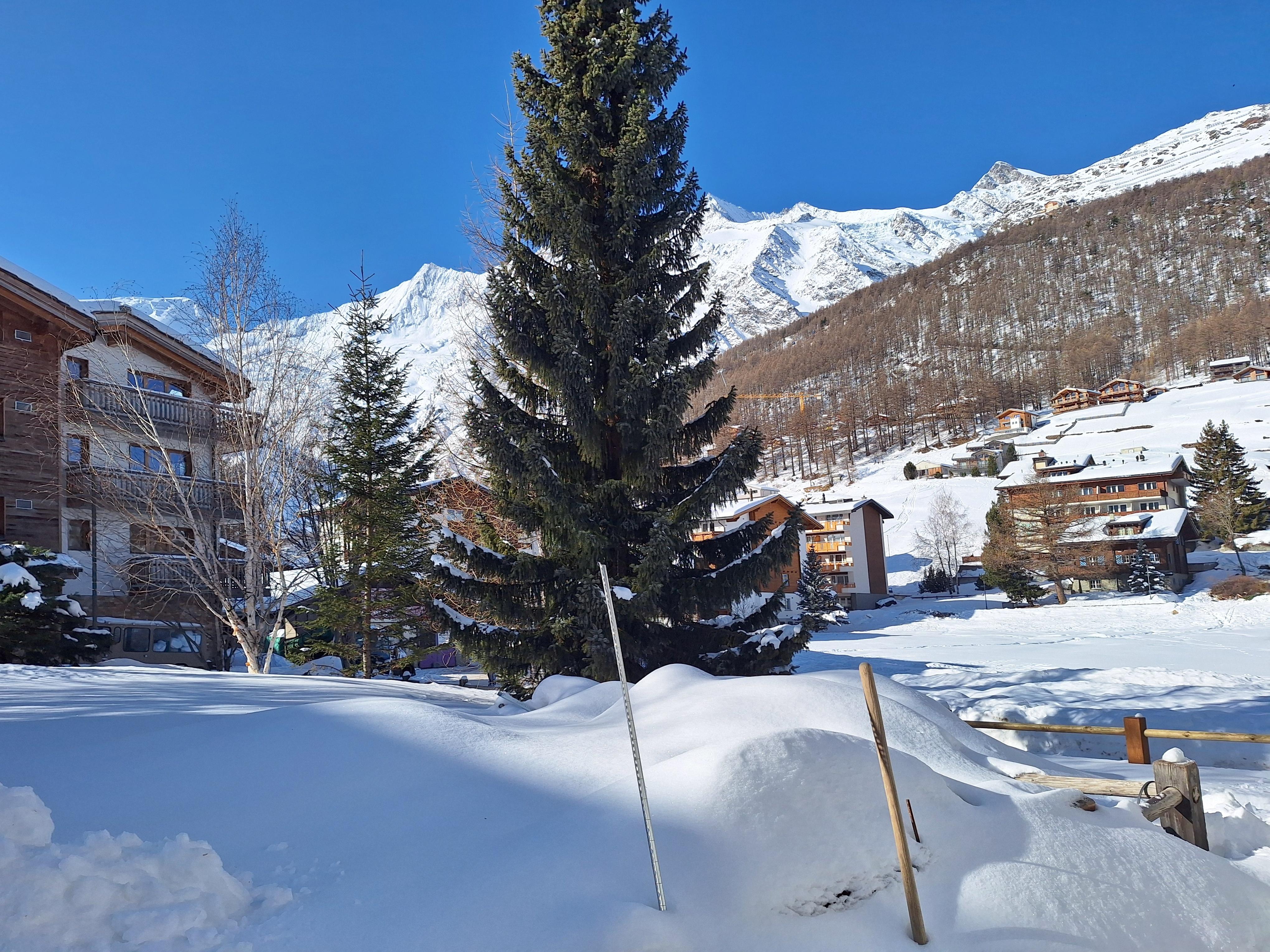 1000051082_edited 1000051082_edited