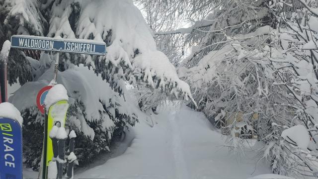 b1d1a673-64ed-4a03-be75-43acd7ca69ed b1d1a673-64ed-4a03-be75-43acd7ca69ed