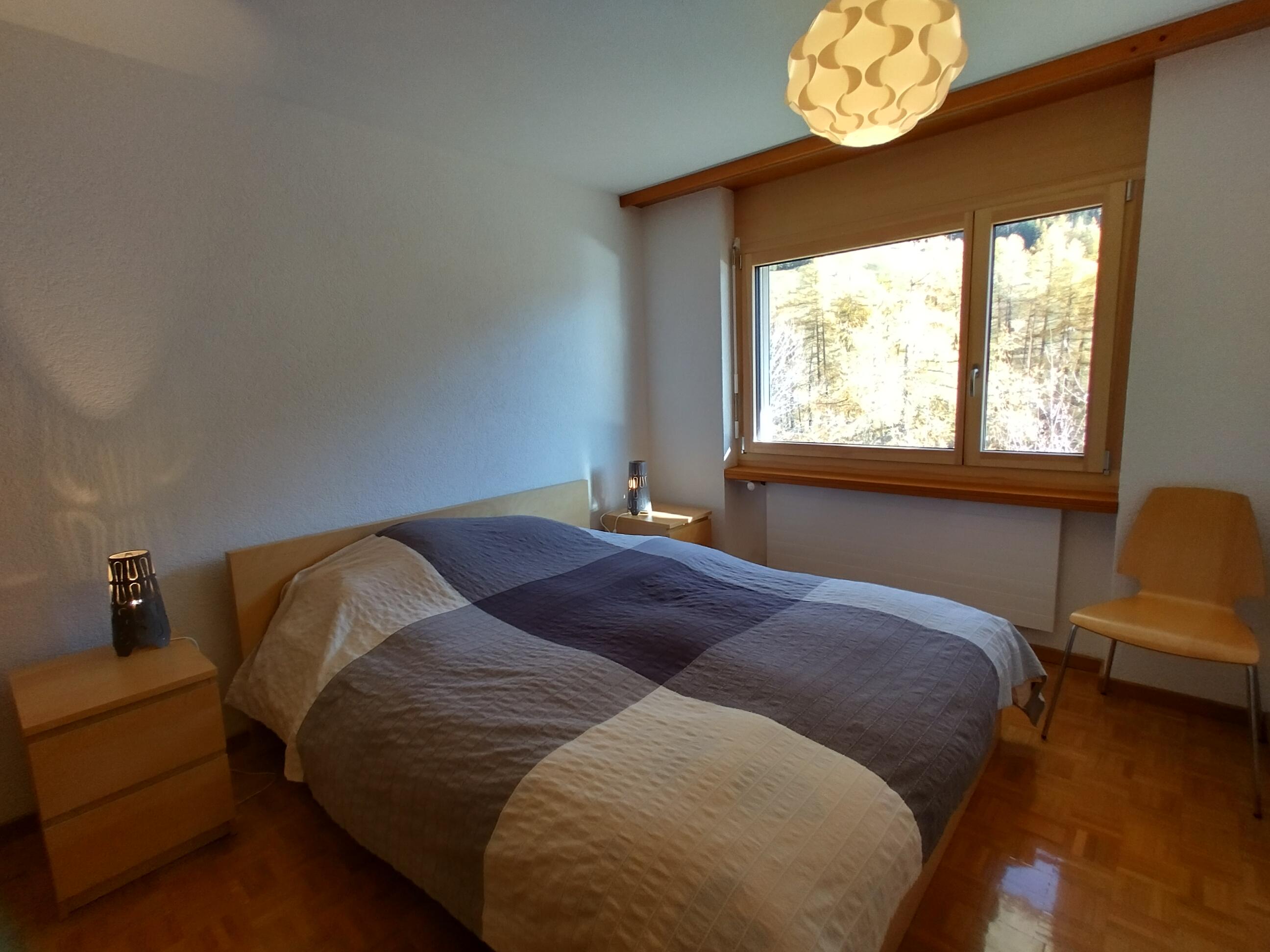 IMG_20241116_140232_HDR IMG_20241116_140232_HDR