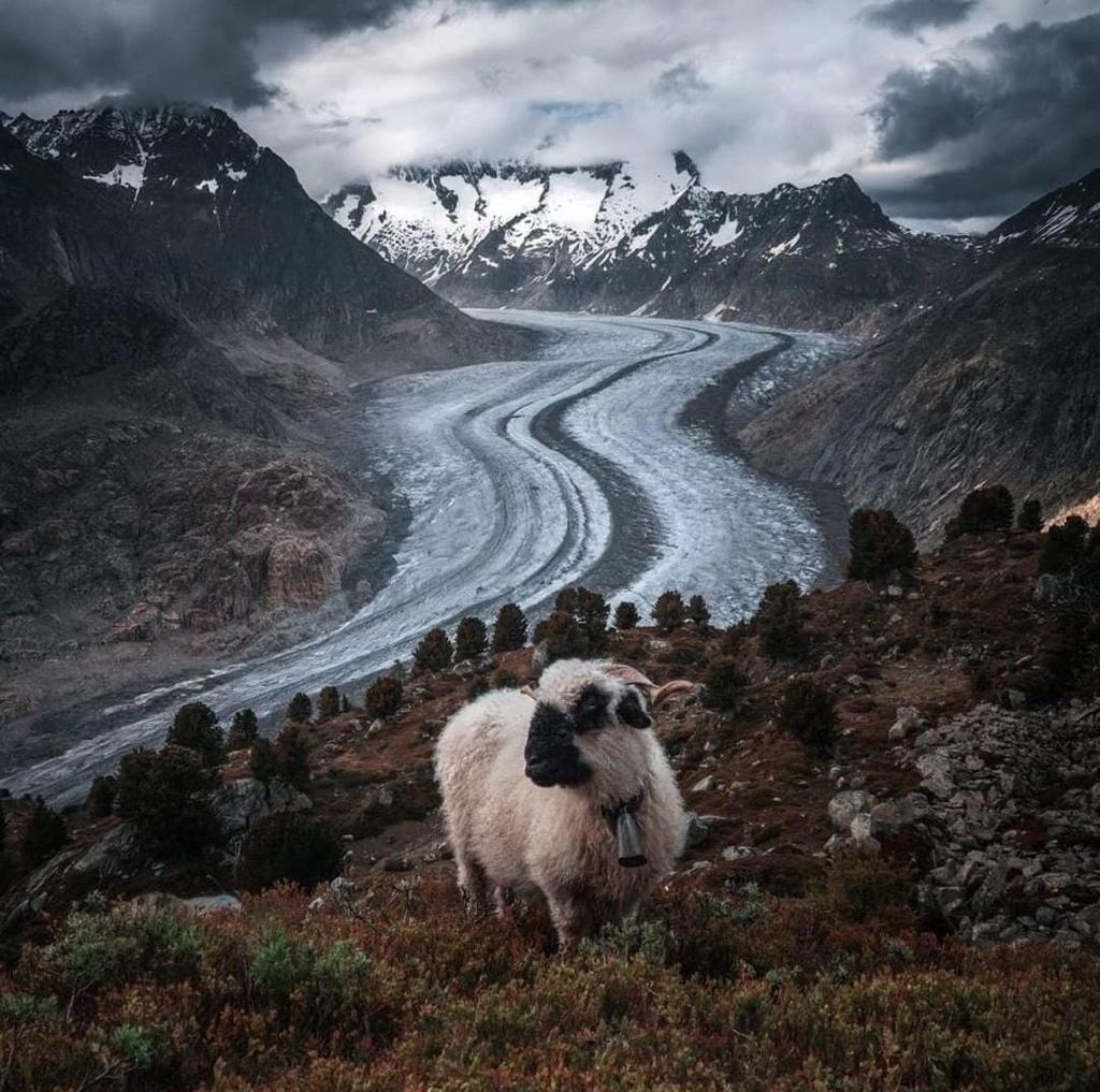 IMG-20231105-WA0001 IMG-20231105-WA0001