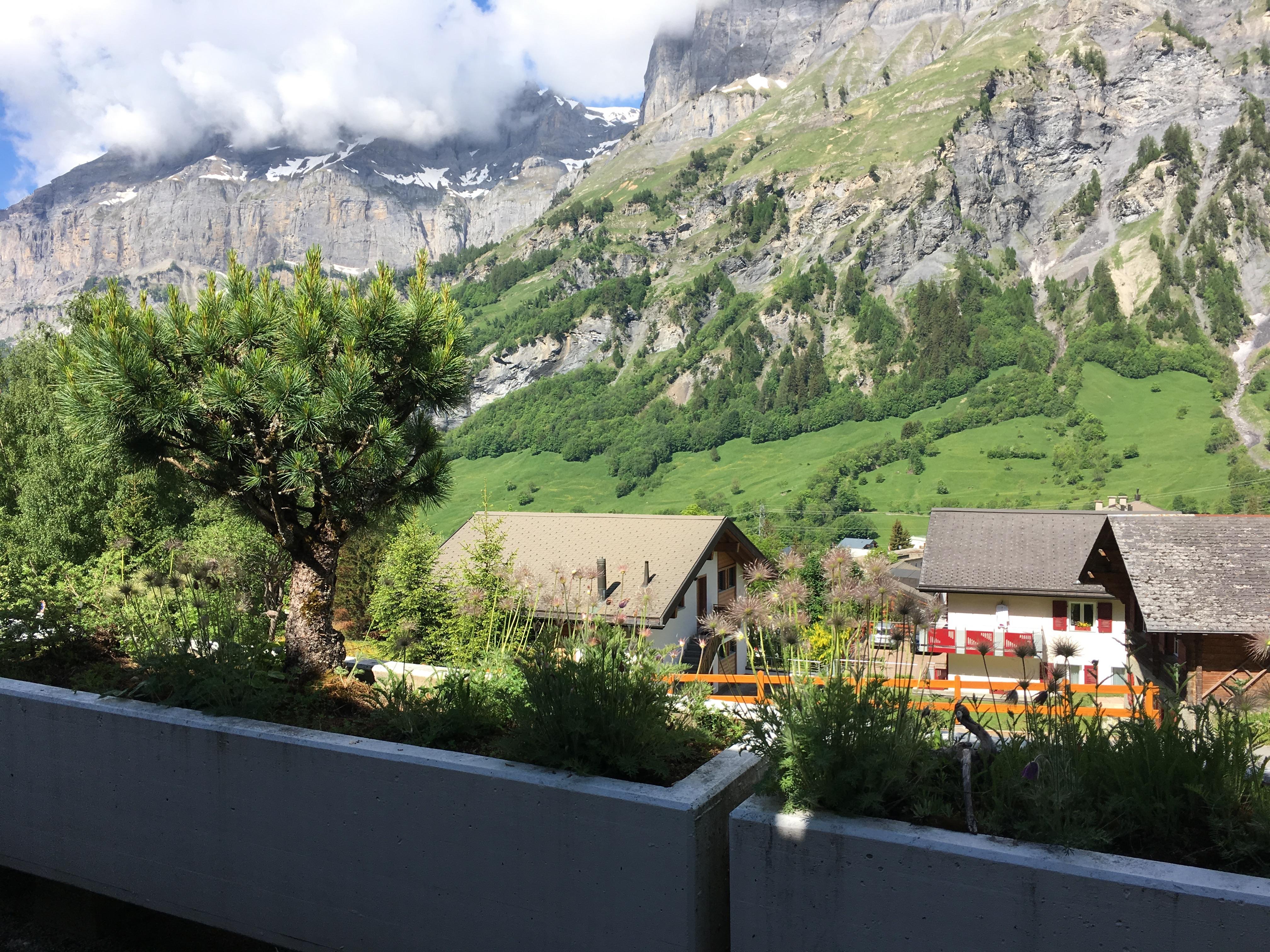 Lärchenwald 312_aussicht_sommer_c Lärchenwald 312_aussicht_sommer_c