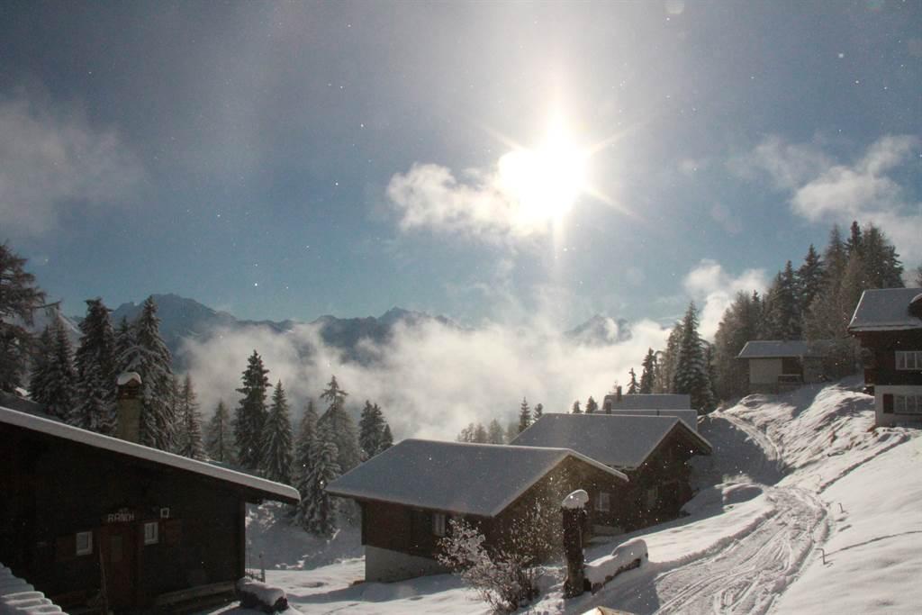 Winterimpression Winterimpression