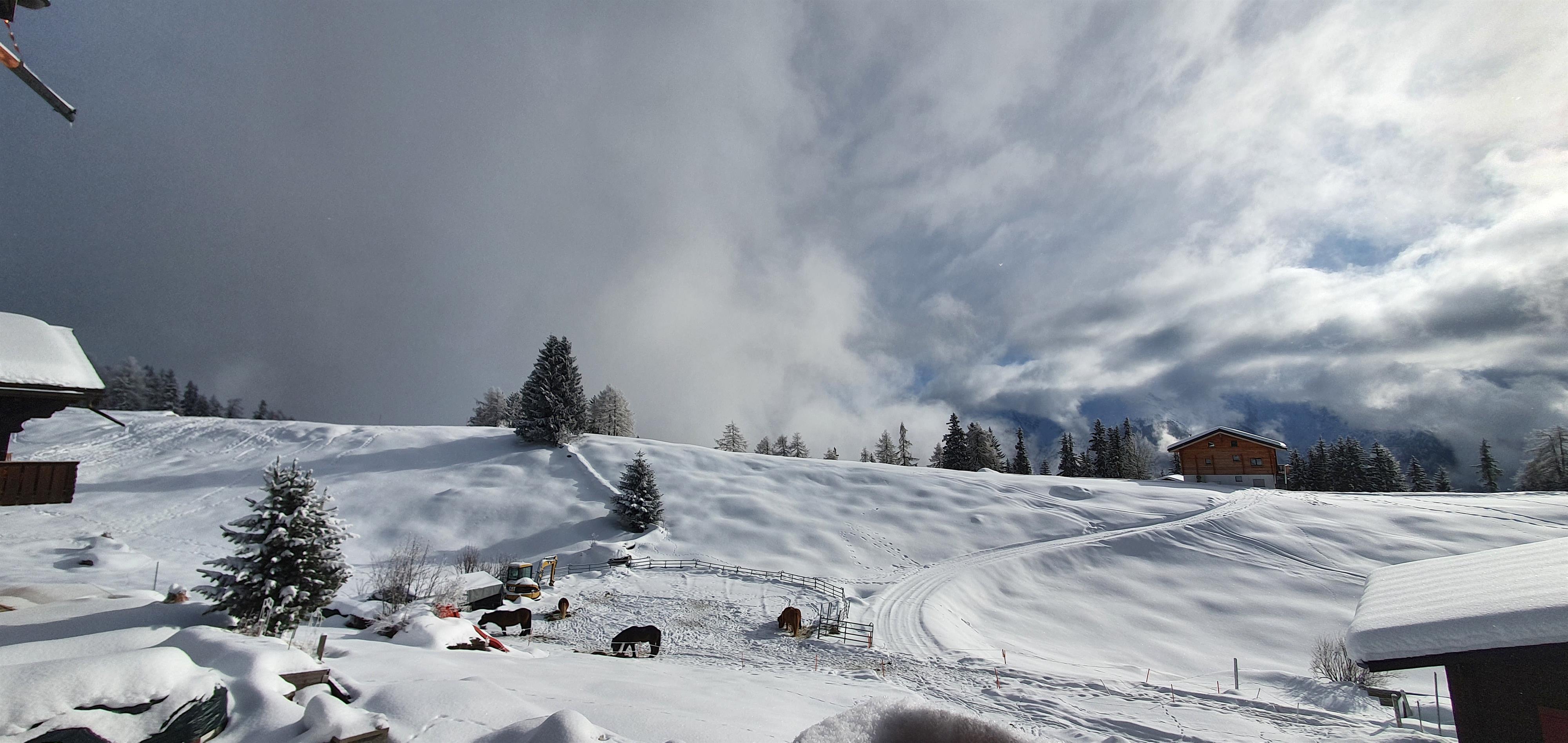 20201226_120852 20201226_120852