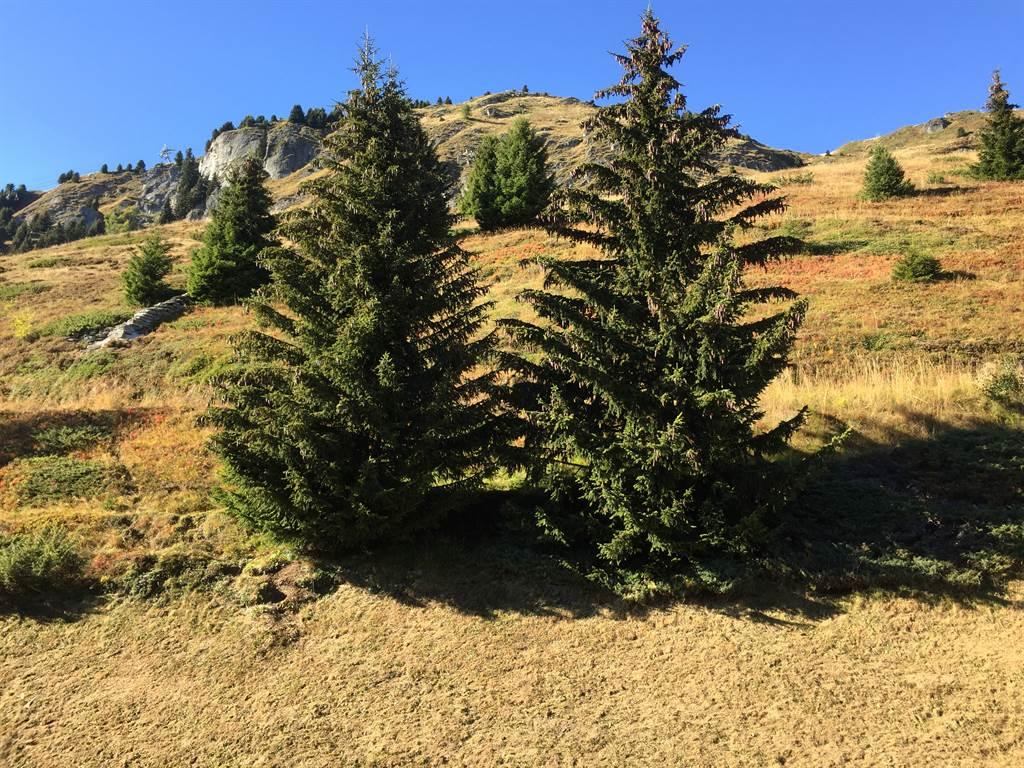 Aussicht vom Schlafzimmer Aussicht vom Schlafzimmer
