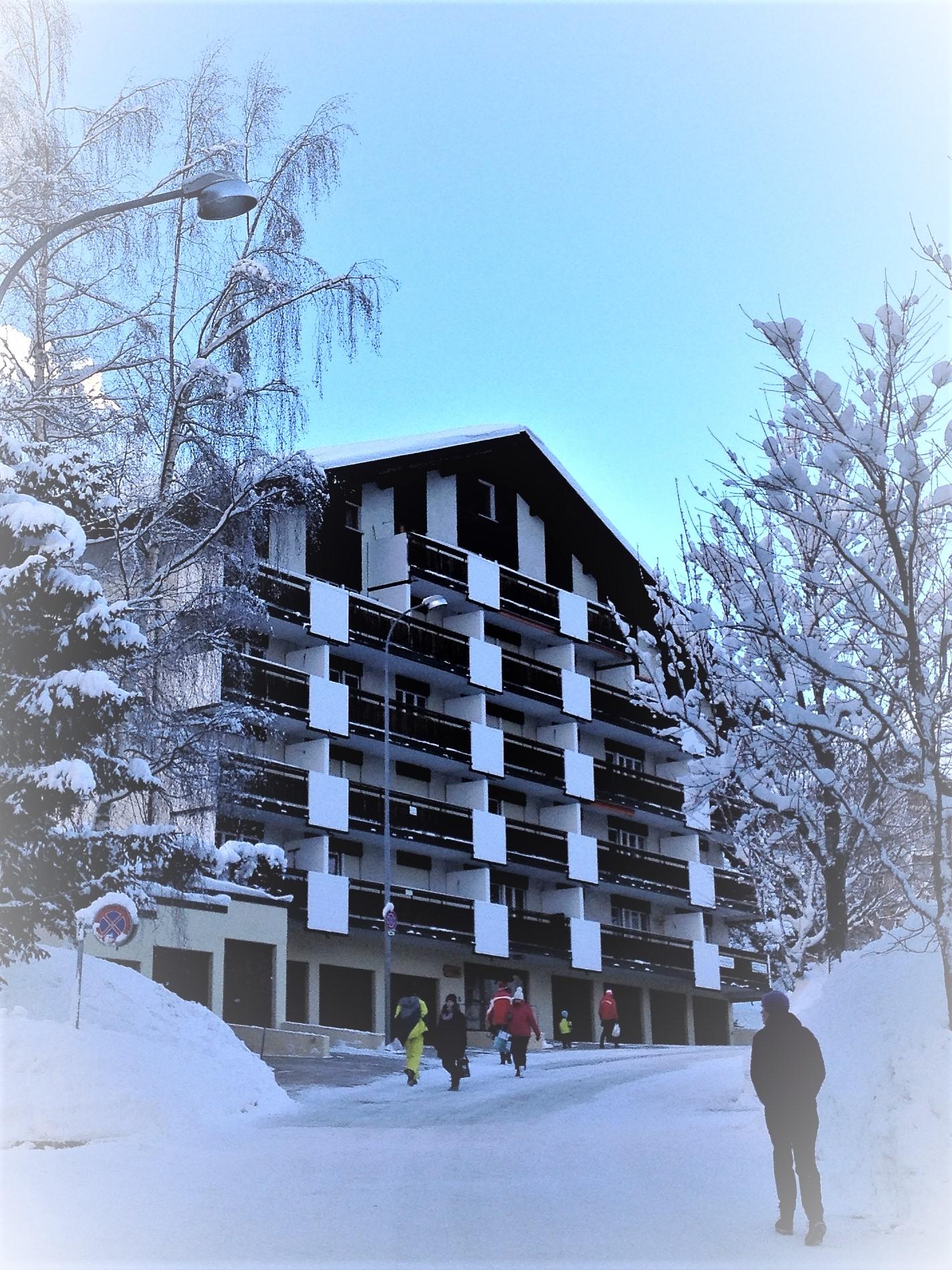 Goliath_winter Goliath_winter