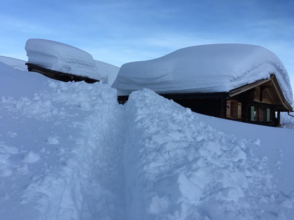 Bel-Alp-Ruh im Winter Bel-Alp-Ruh im Winter