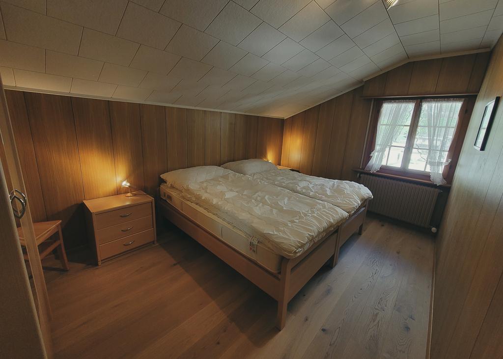 alpenrösli-016 alpenrösli-016