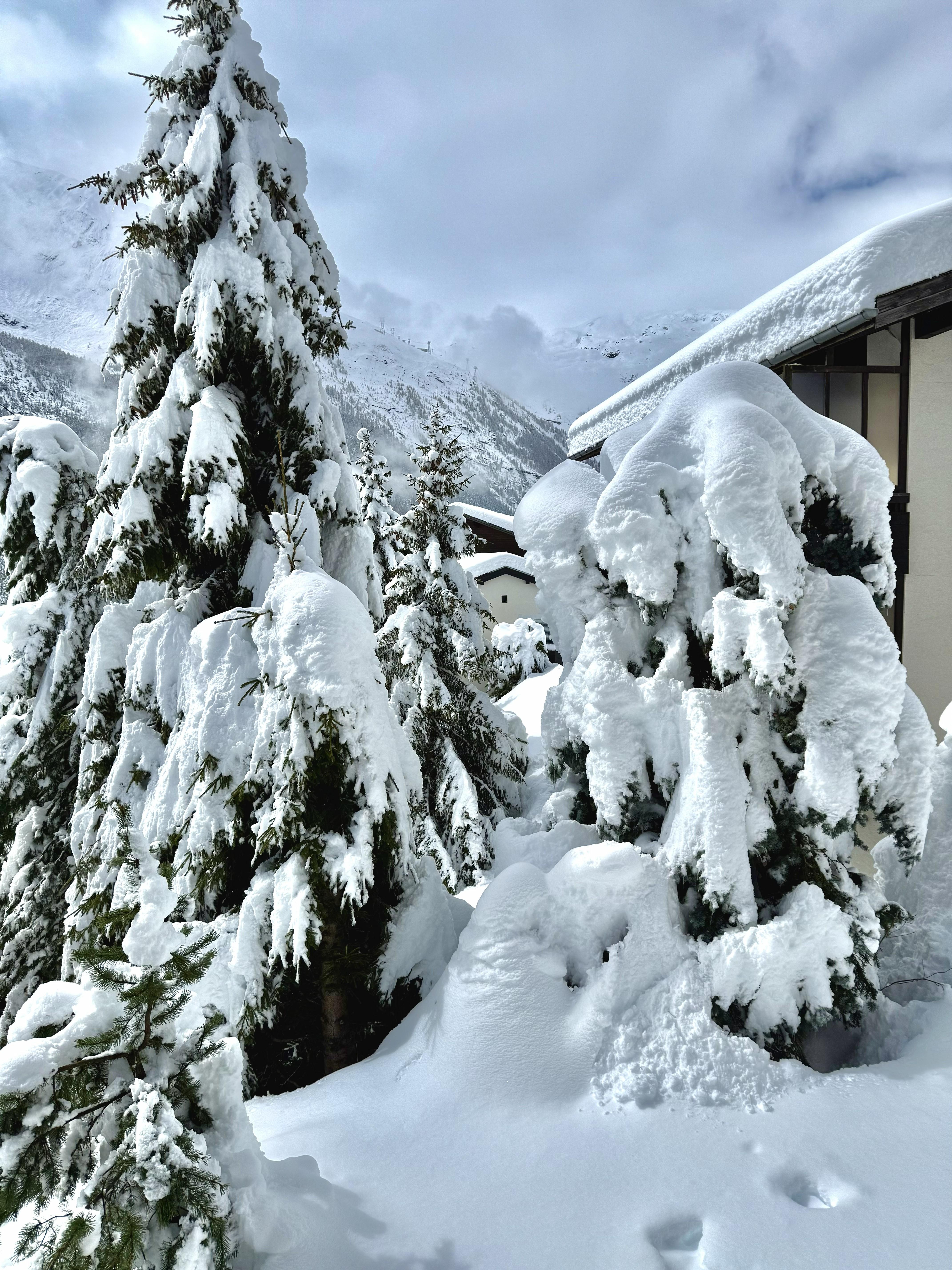 Winter2025 Winter2025