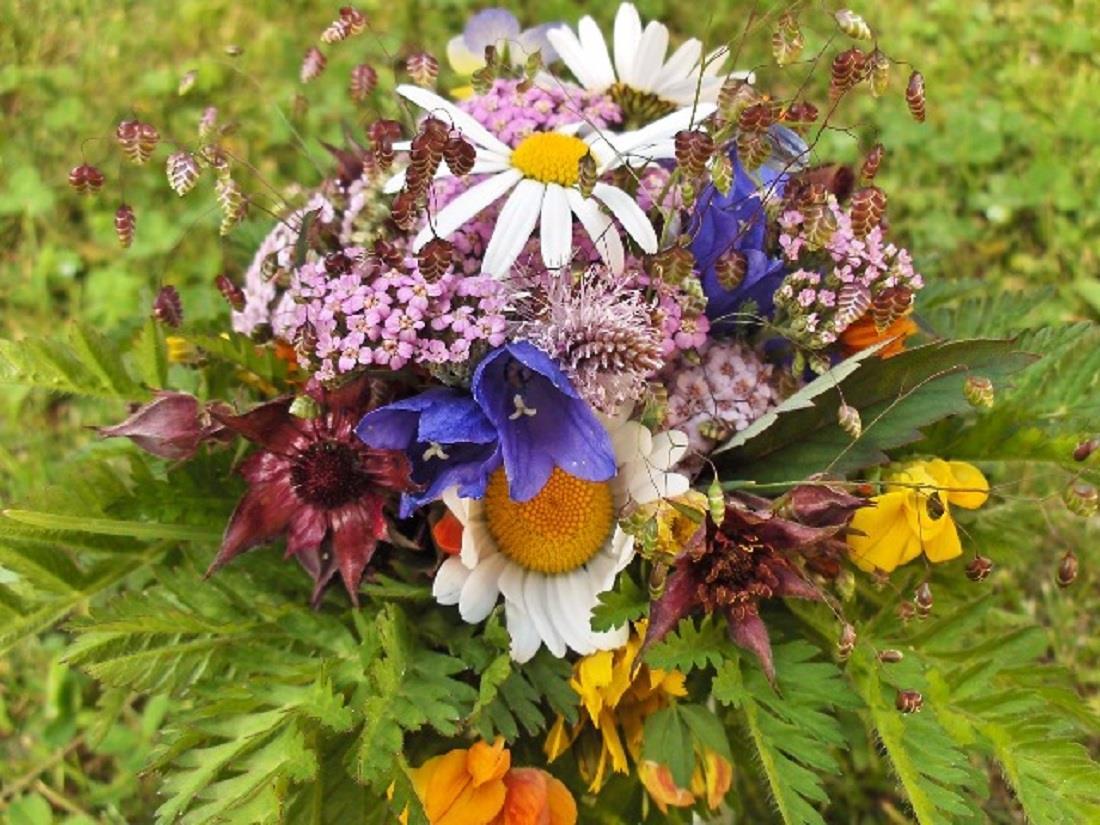 Bergfrühling Bergfrühling