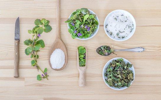 KRÄUTERWANDERUNG & GEMEINSAMES KOCHEN