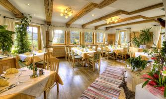 An inviting restaurant with wooden furniture and large windows. Plants and decorative elements create a cozy atmosphere.