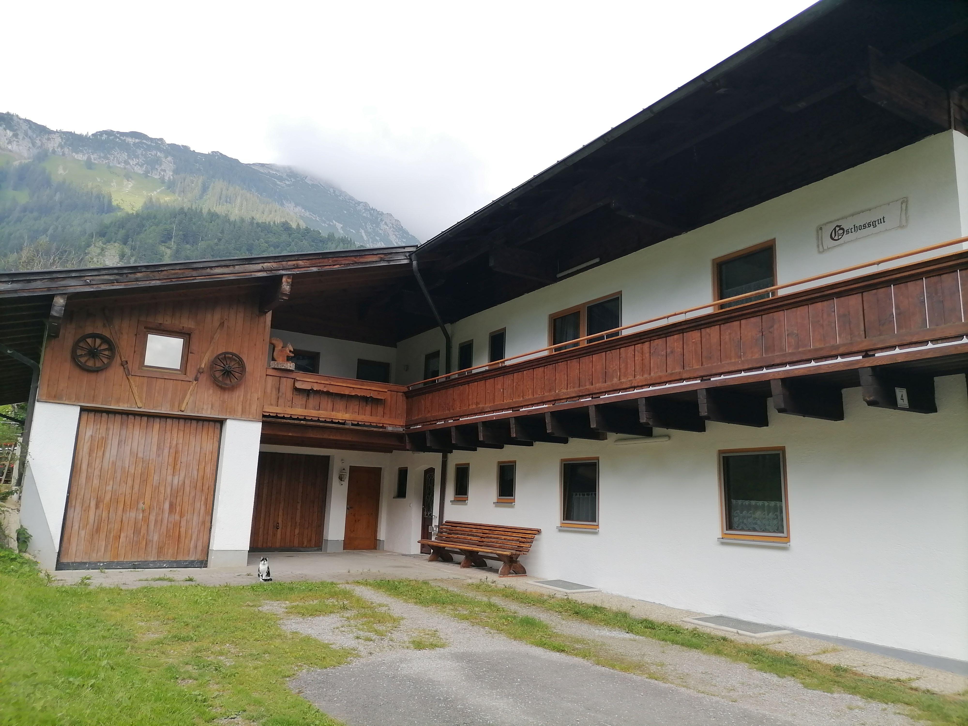 A traditional alpine house with a wooden façade and balcony. In the foreground, a green meadow is visible, and mountains are in the background.