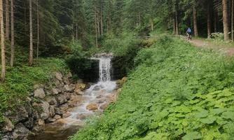 A small waterfall flows through green forests. The surroundings are enveloped in lush greenery and rocks.