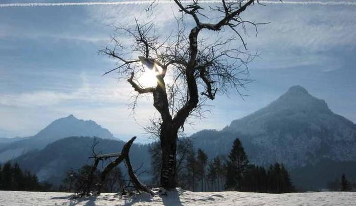 Kalvarienbergrunde / Winterwanderweg 1