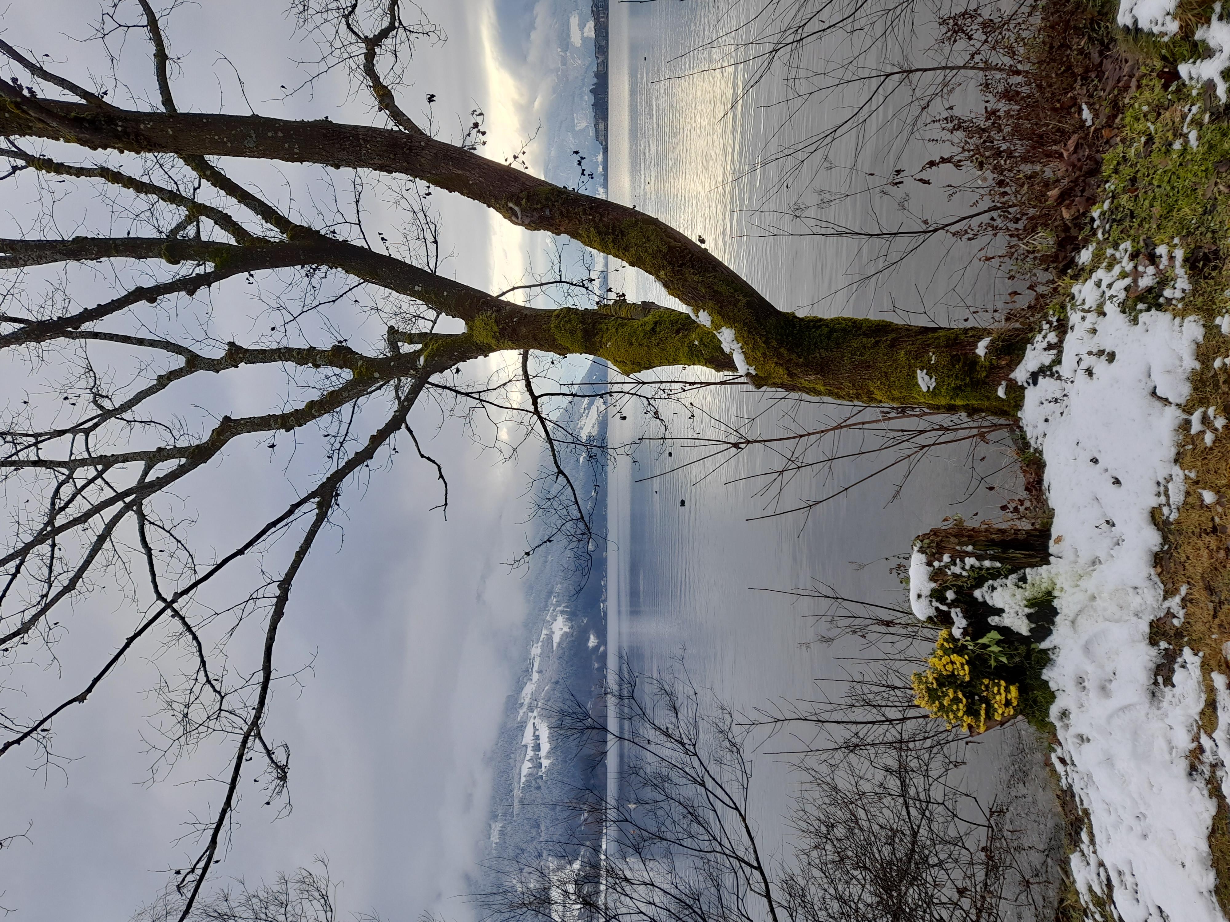Zeller See in Zell am See