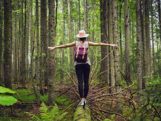 Zur Ruhe kommen & Gesundheit stärken – Waldbaden