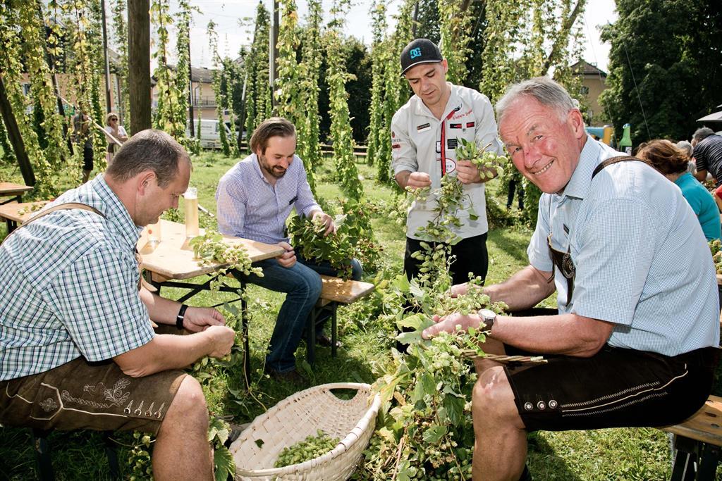 Trumer Hopfenernte Fest