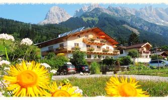 A charming house in the mountains with balconies and a blooming meadow in the foreground. The landscape is characterized by green meadows and majestic mountains.